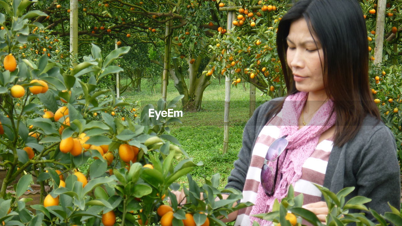 Mature woman standing by oranges on tree