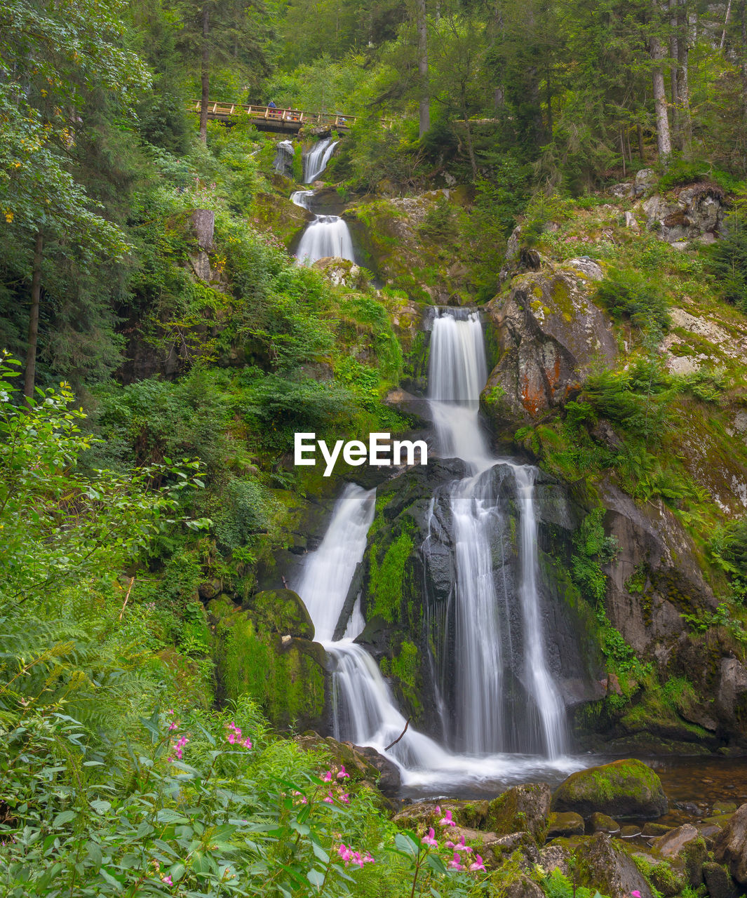 The triberg waterfalls, the tallest waterfalls in germany