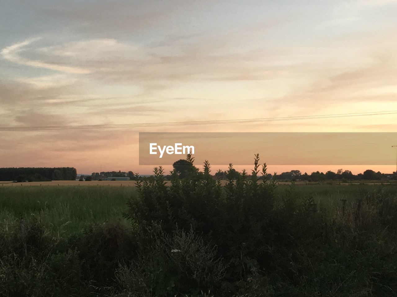 SCENIC VIEW OF GRASSY FIELD AGAINST SKY AT SUNSET