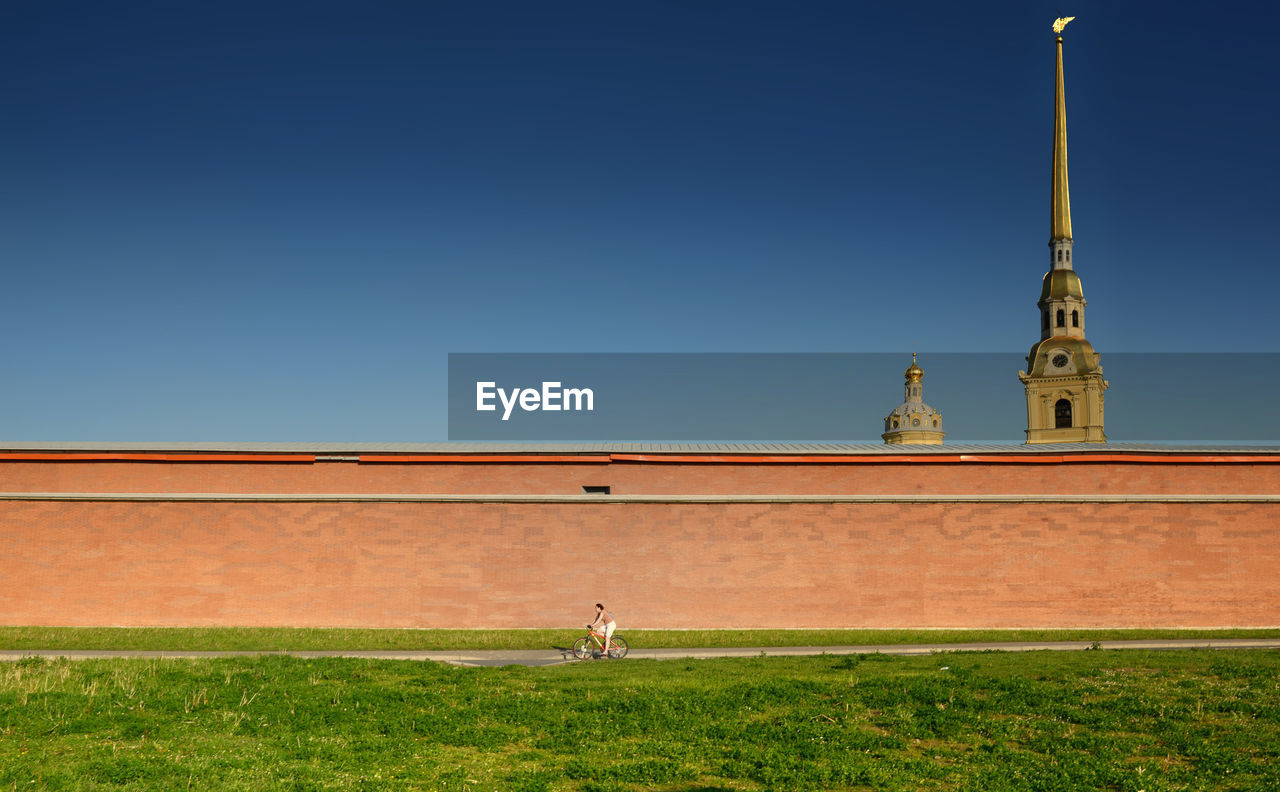 View of tall grass against clear sky