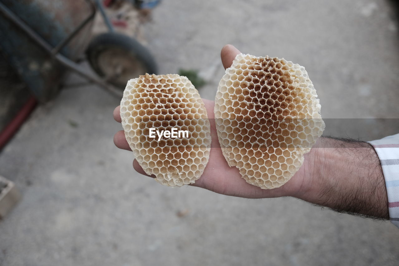 High angle view of cropped hand holding honeycomb outdoors