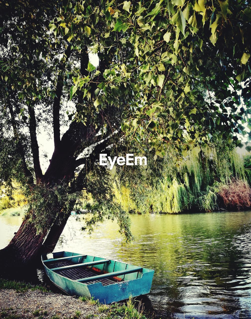 SCENIC VIEW OF LAKE AND TREES