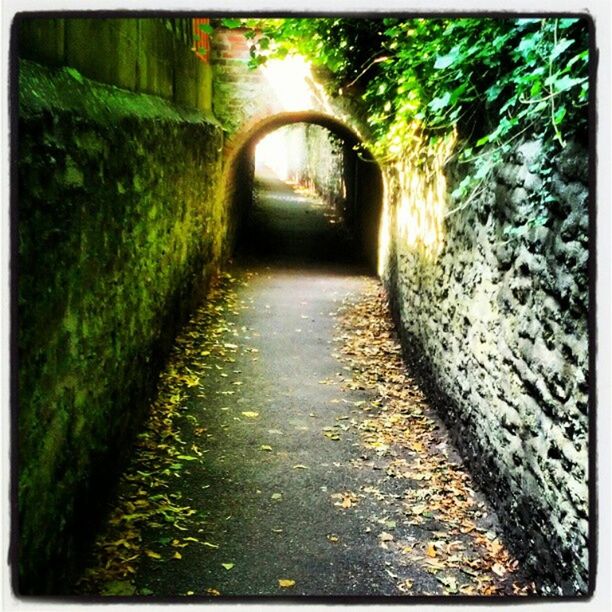 NARROW WALKWAY ALONG TREES