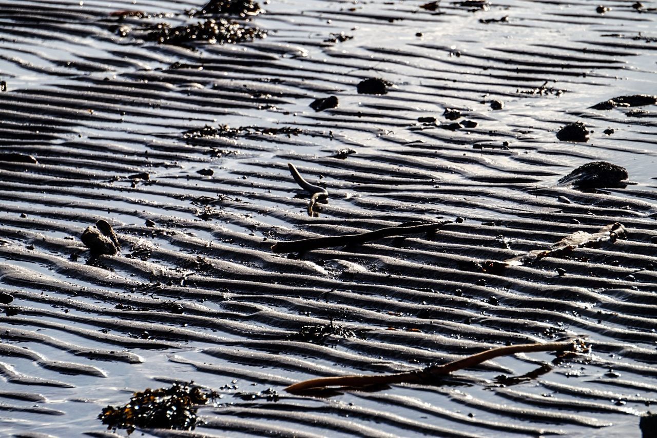 High angle view of sticks on muddy shore