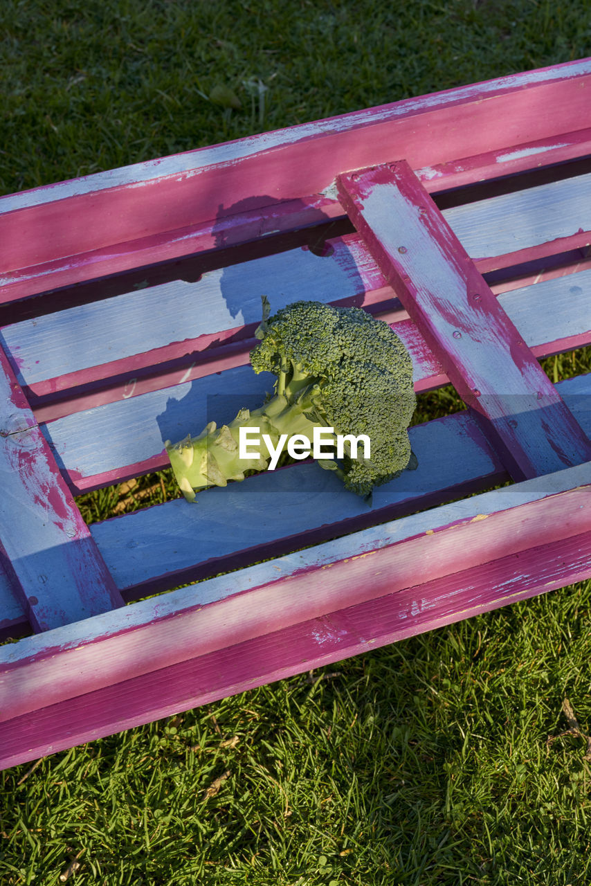 Close-up of vegetable on bench