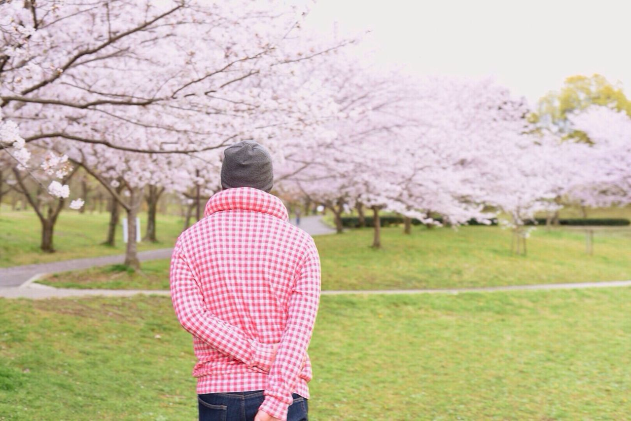 Man overlooking flower trees on landscape