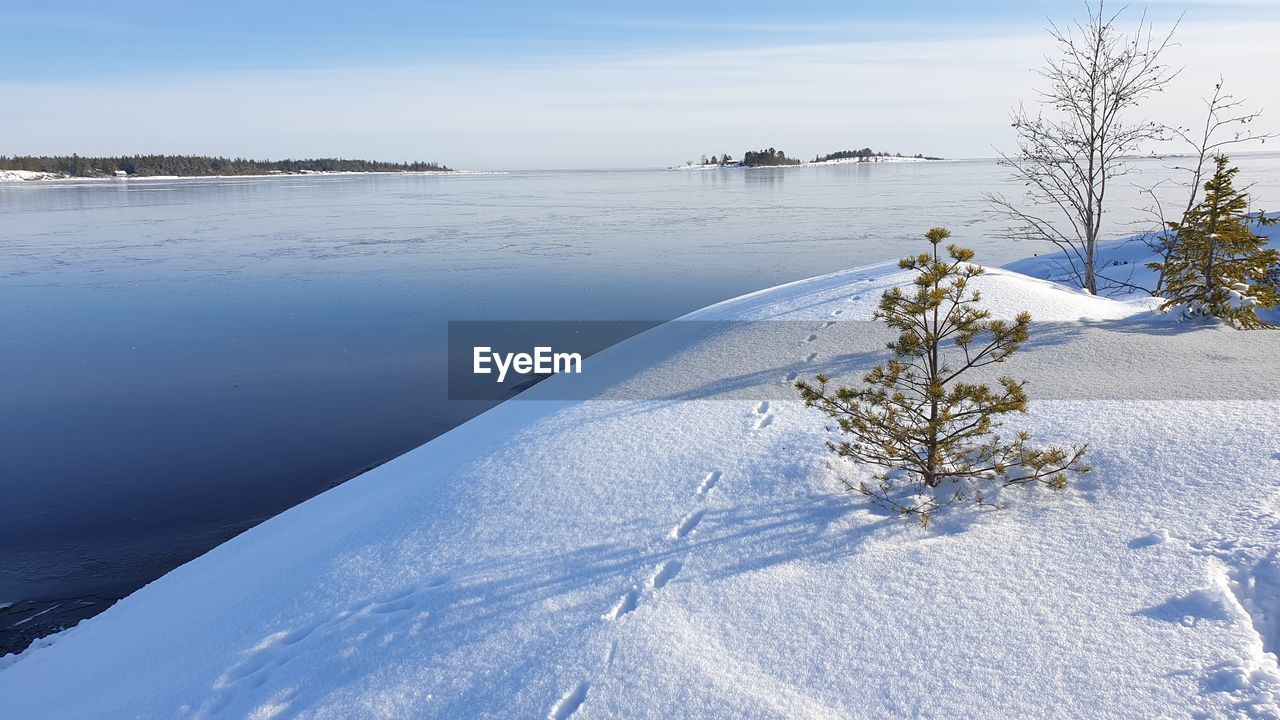 SCENIC VIEW OF FROZEN TREES AGAINST SKY