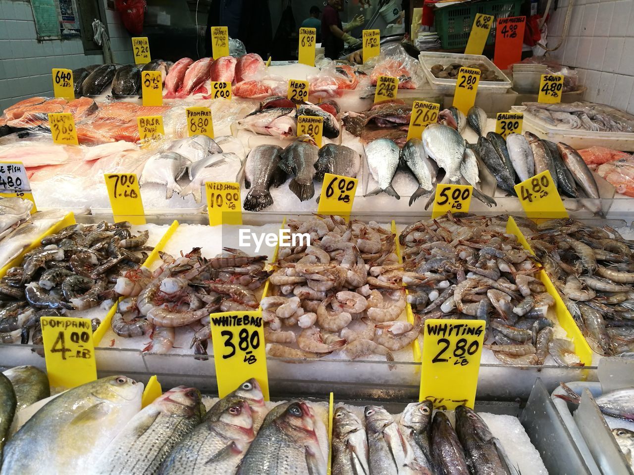 VARIOUS FISH FOR SALE IN MARKET