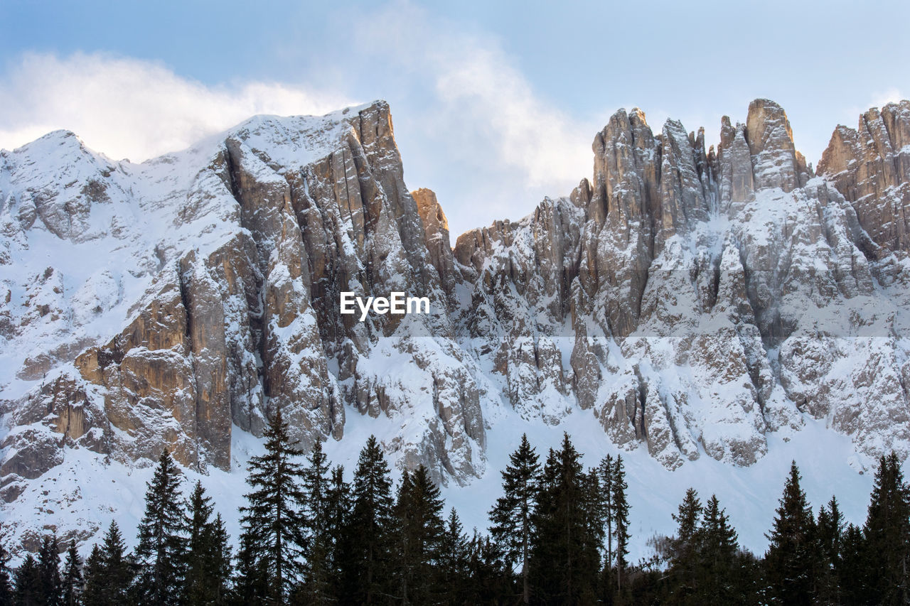 Pine trees and snowcapped latemar mountain against sky - dolomites, south tyrol, italy 