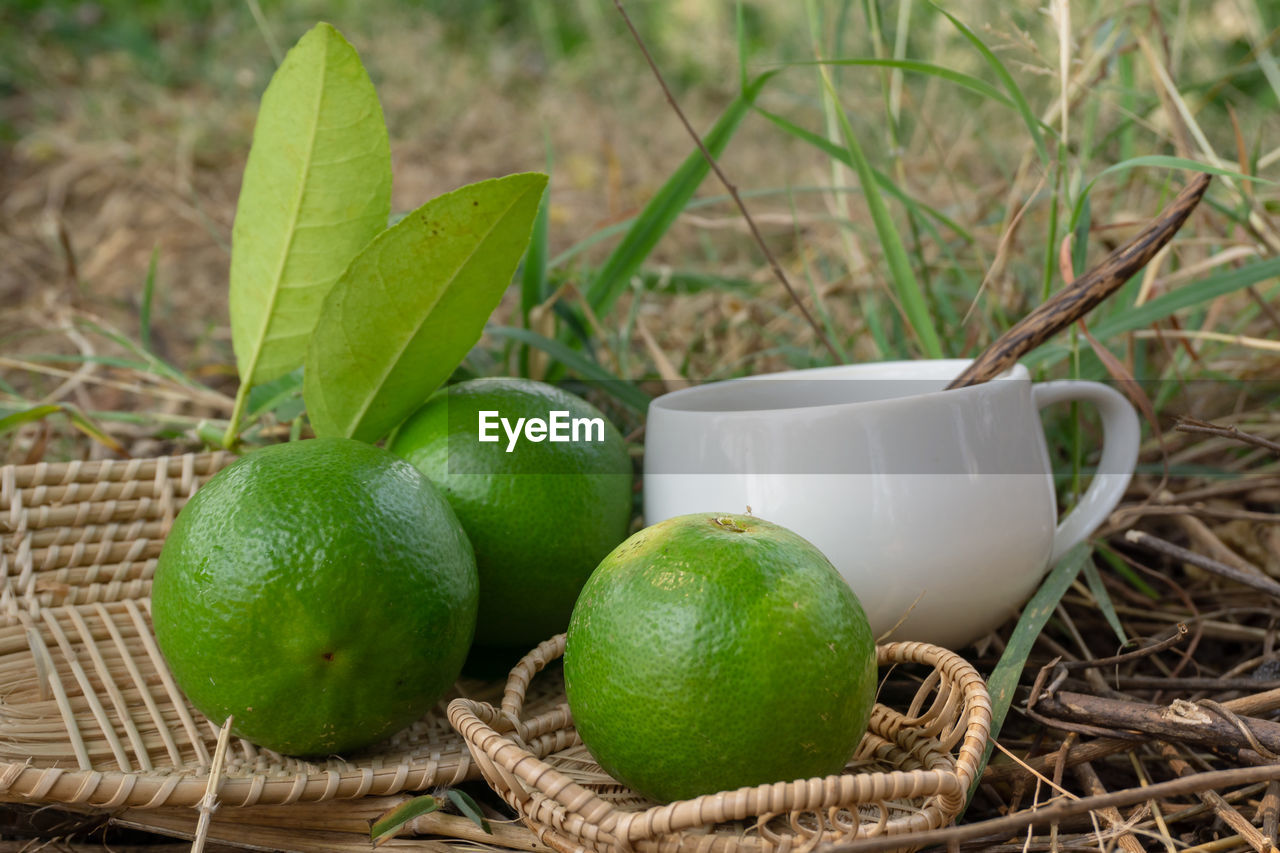 CLOSE-UP OF GREEN FRUITS AND BASKET