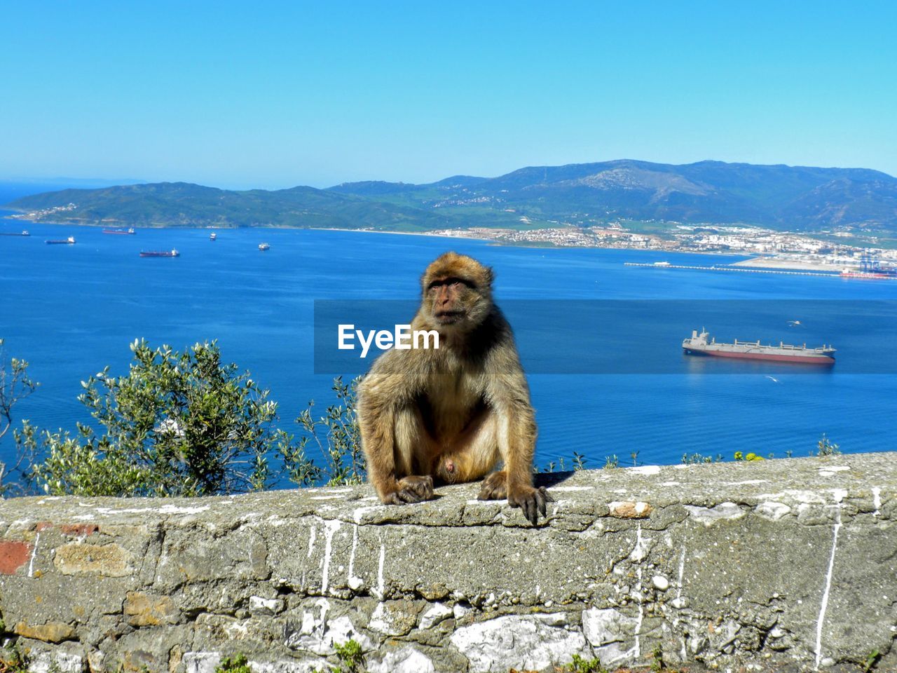 Aerial view of rock of gibraltar with city, iberian peninsula. barbary monkey rock of gibraltar