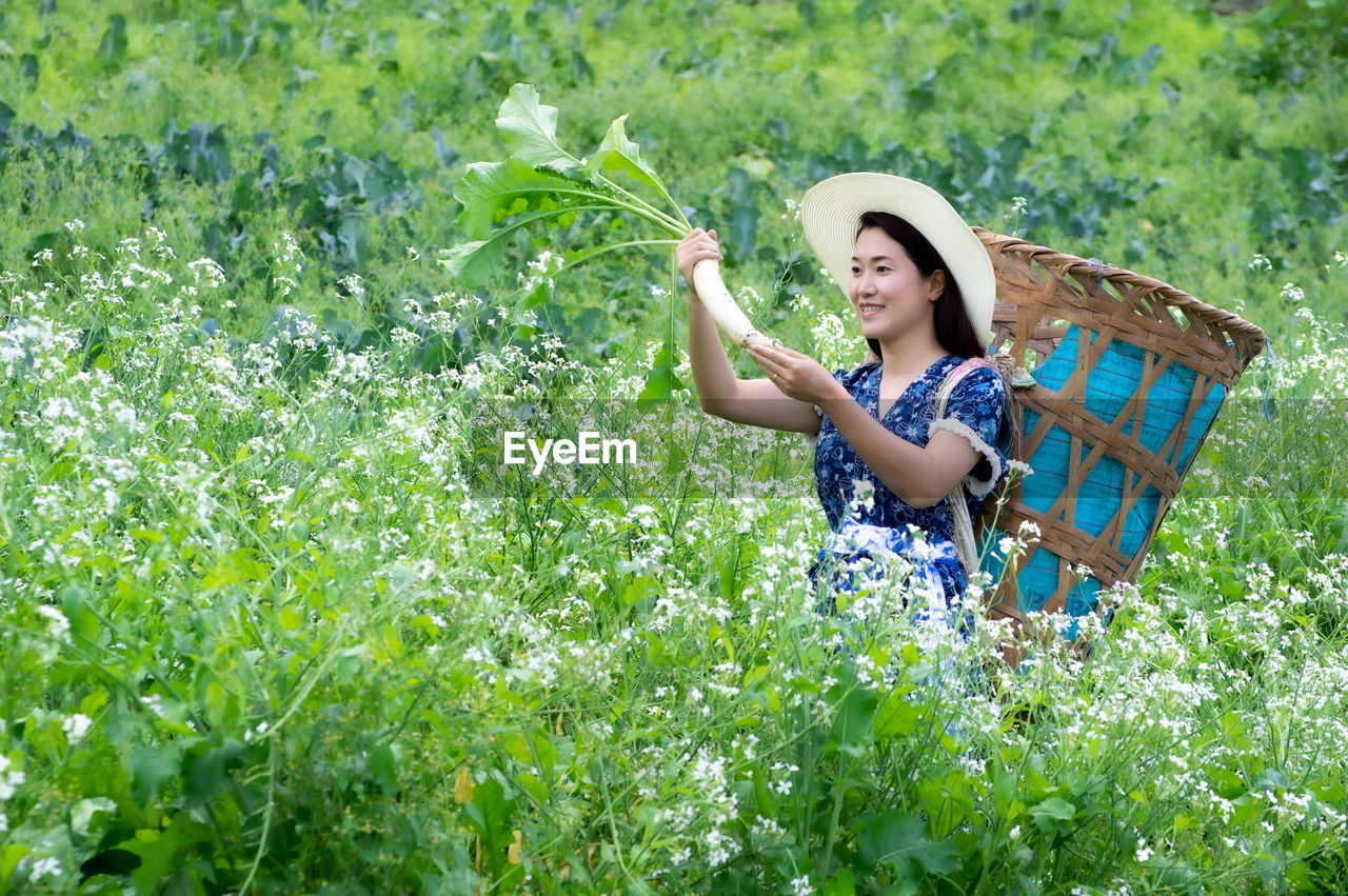 A young farmer is happily picking organic radish fresh in garden. organic farming.