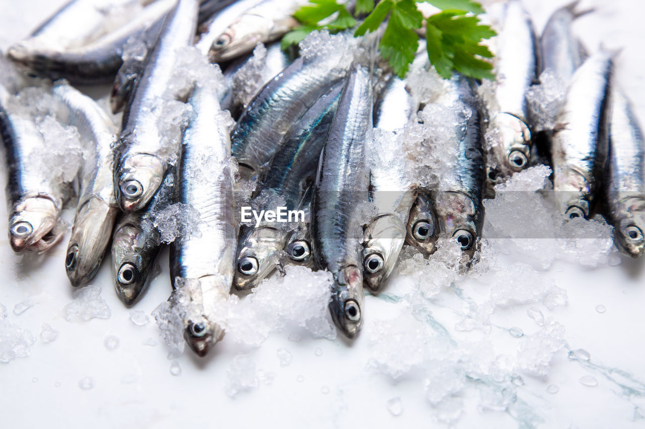 HIGH ANGLE VIEW OF FISH FOR SALE