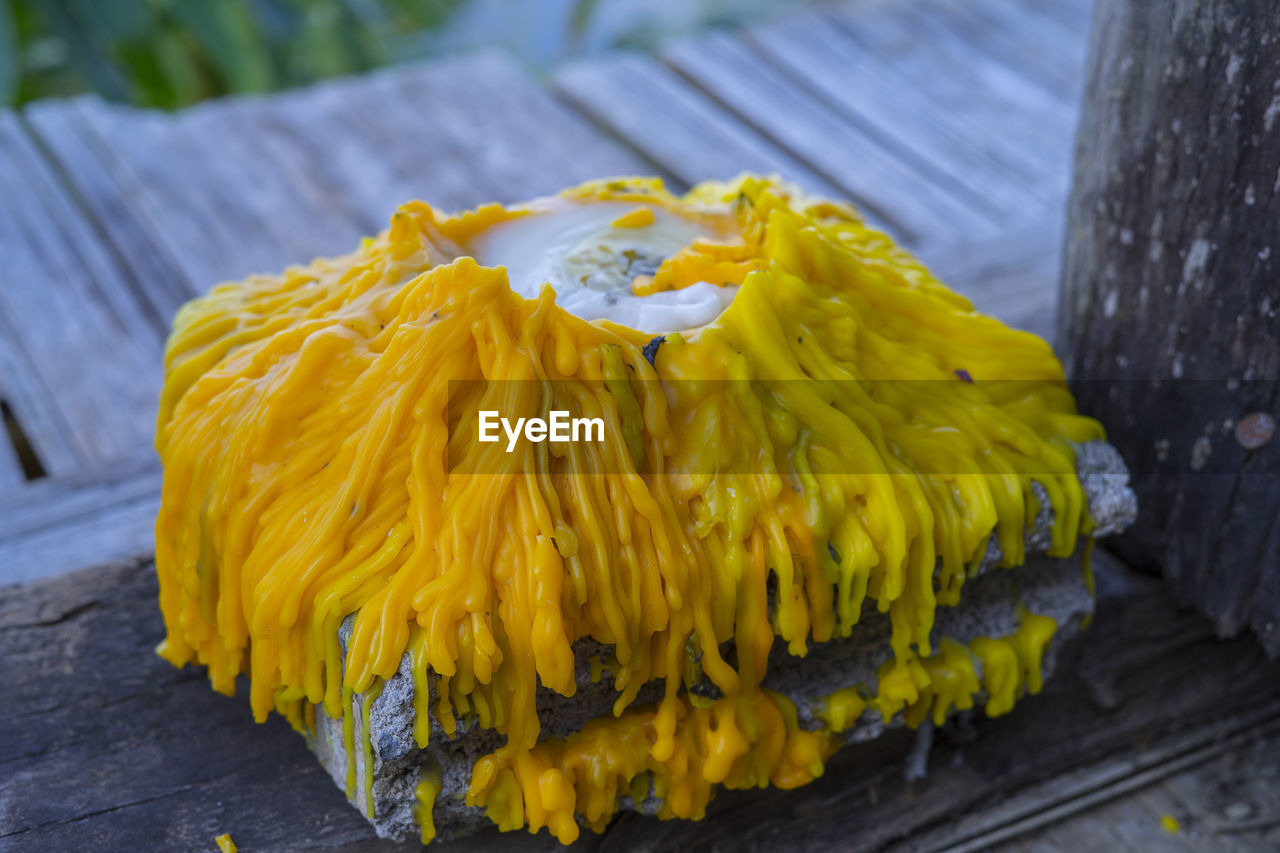 CLOSE-UP OF YELLOW MARIGOLD FLOWER