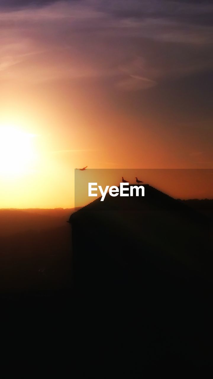 SILHOUETTE BIRD FLYING OVER LANDSCAPE AGAINST SKY DURING SUNSET