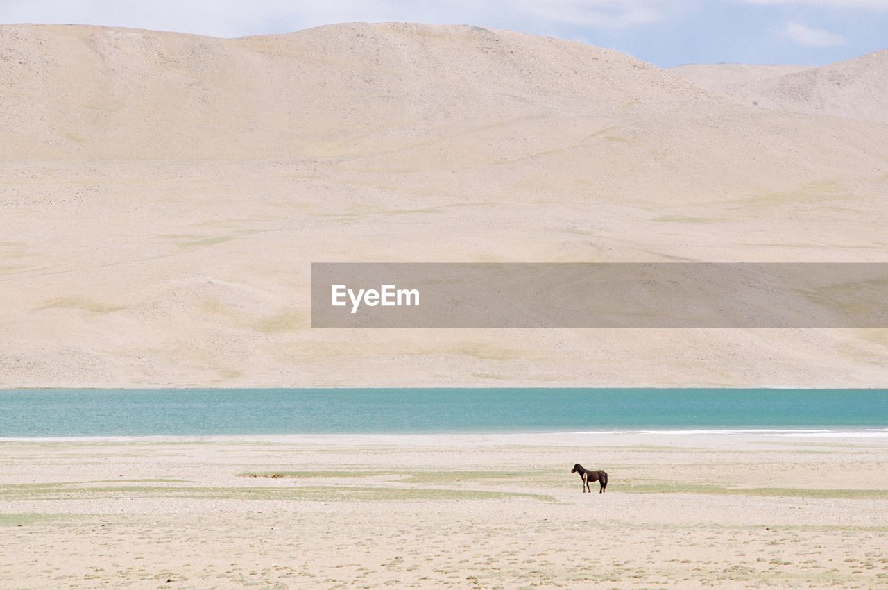 Scenic view of lake against mountain