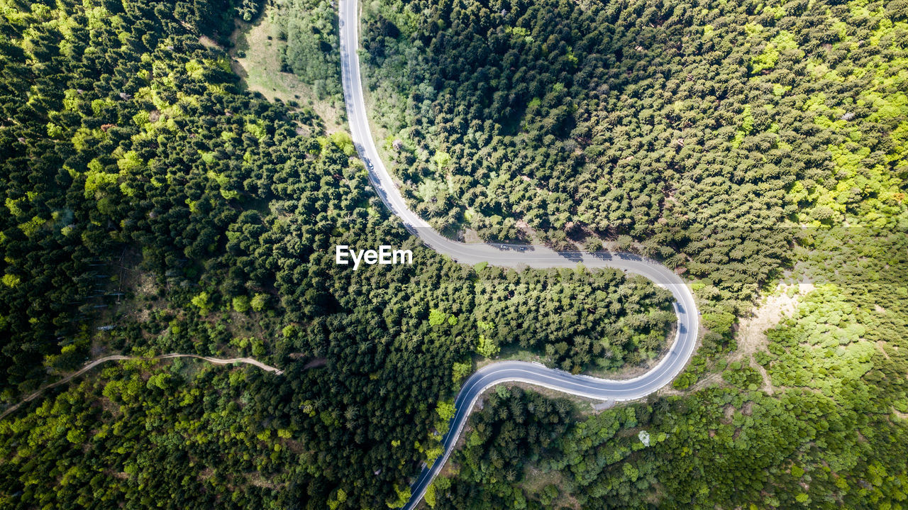 Aerial view of road amidst forest