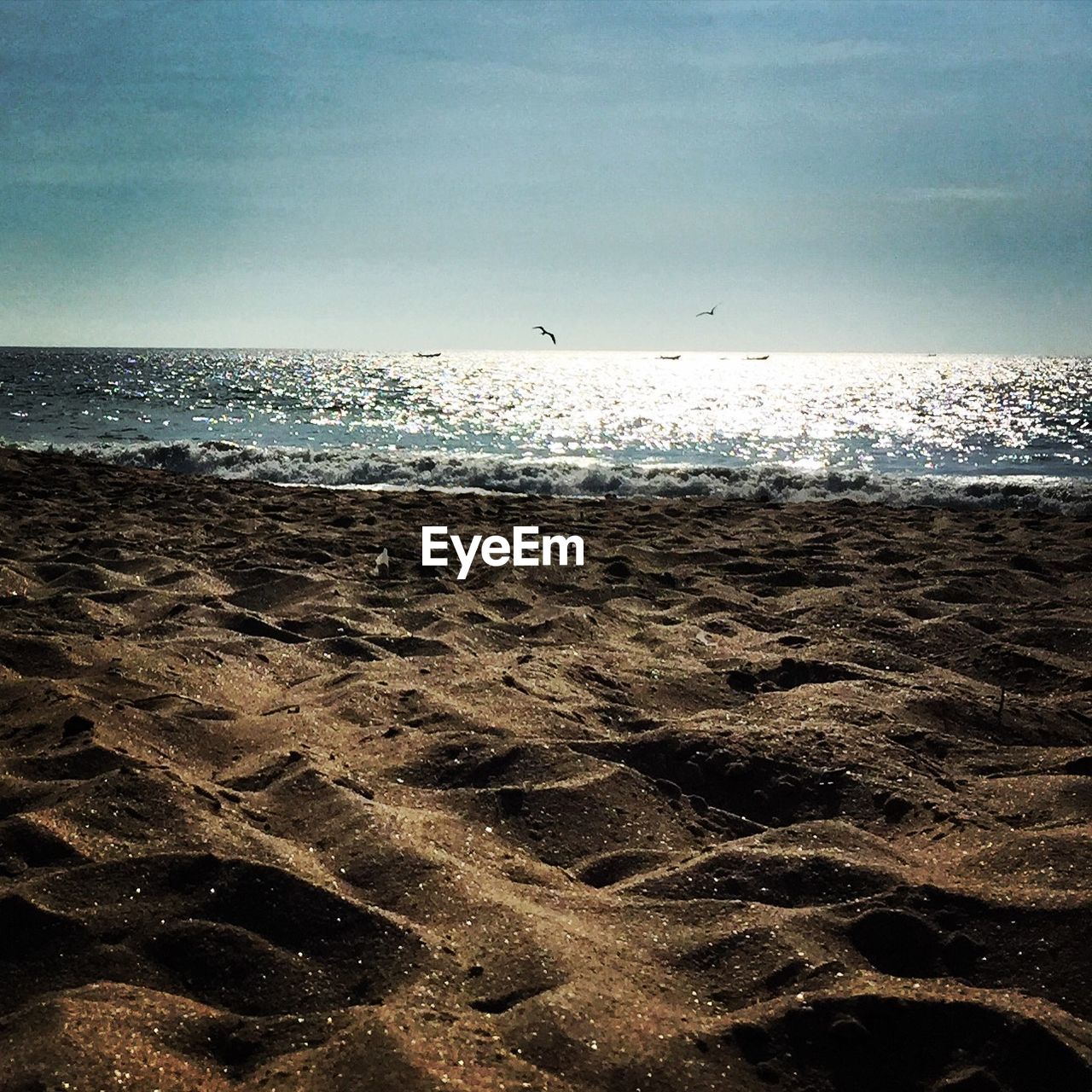 Scenic view of beach against sky on sunny day