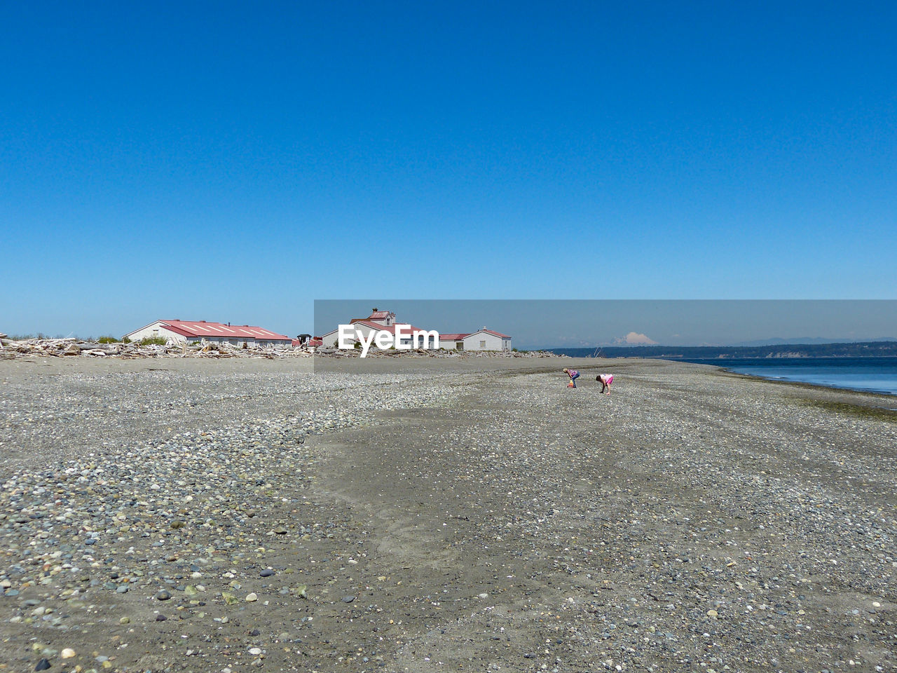 People on beach against clear blue sky