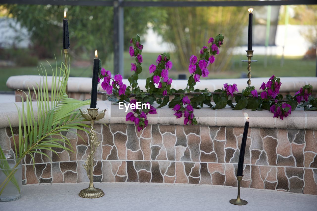 FLOWER POTS ON TABLE AGAINST WALL