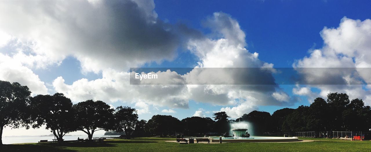 TREES ON GRASSY FIELD AGAINST CLOUDY SKY