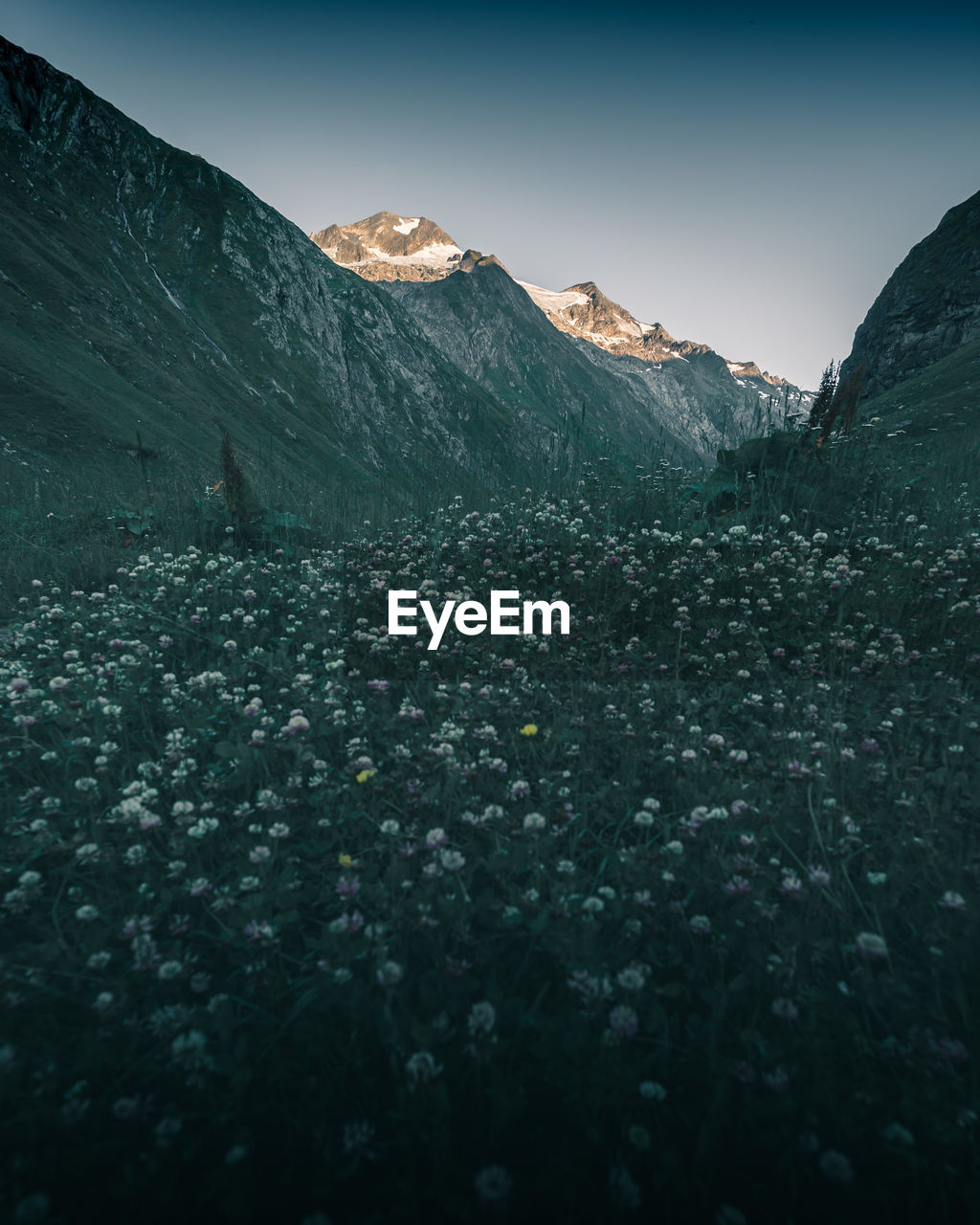 Scenic view of snowcapped mountains against clear sky