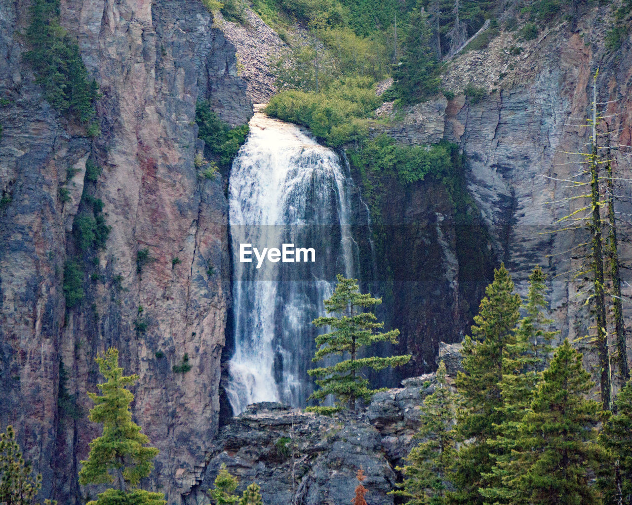 VIEW OF WATERFALL IN FOREST