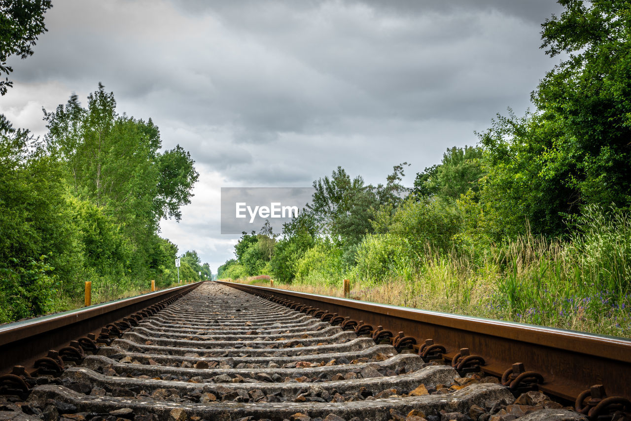 VIEW OF RAILROAD TRACKS ALONG TREES AND PLANTS