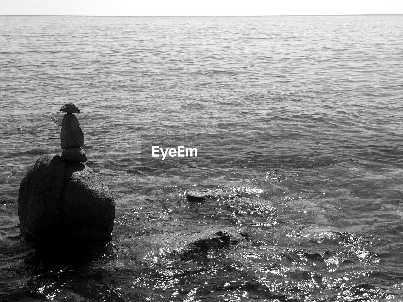 HIGH ANGLE VIEW OF BIRD IN SEA