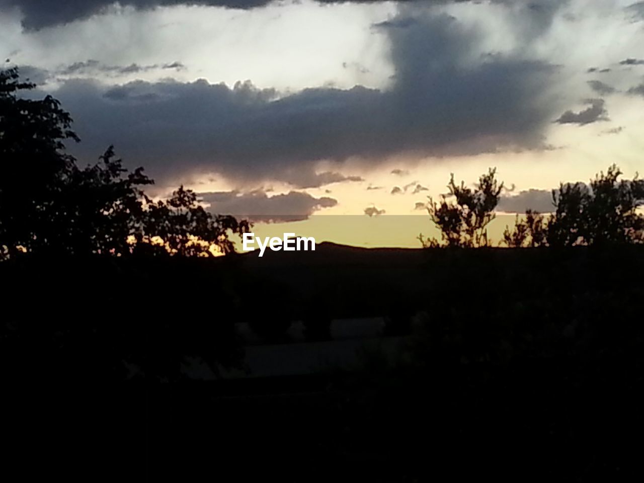 SILHOUETTE OF TREES ON LANDSCAPE AGAINST CLOUDY SKY