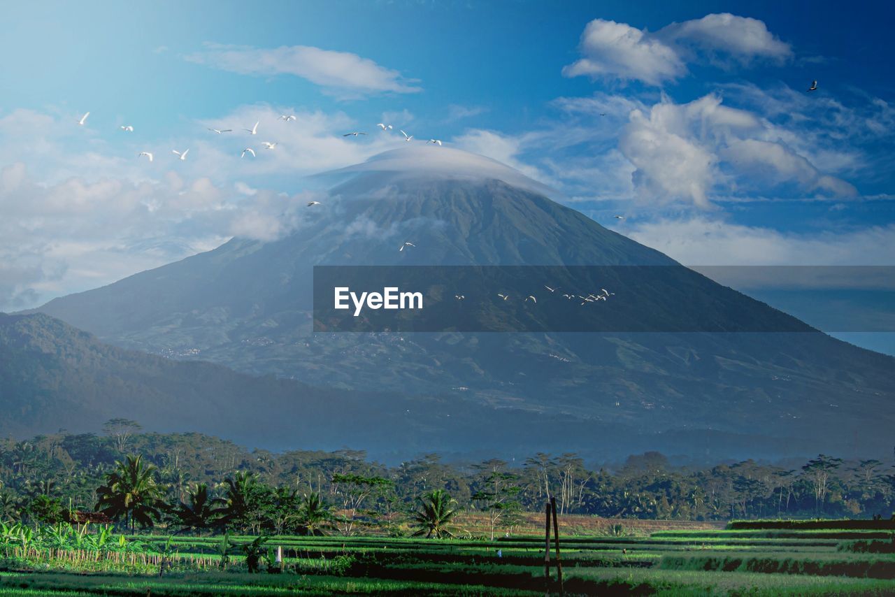 Scenic view of field and mountains against sky