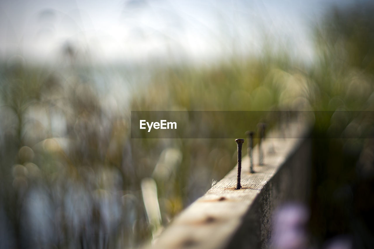 CLOSE-UP OF WOODEN POST