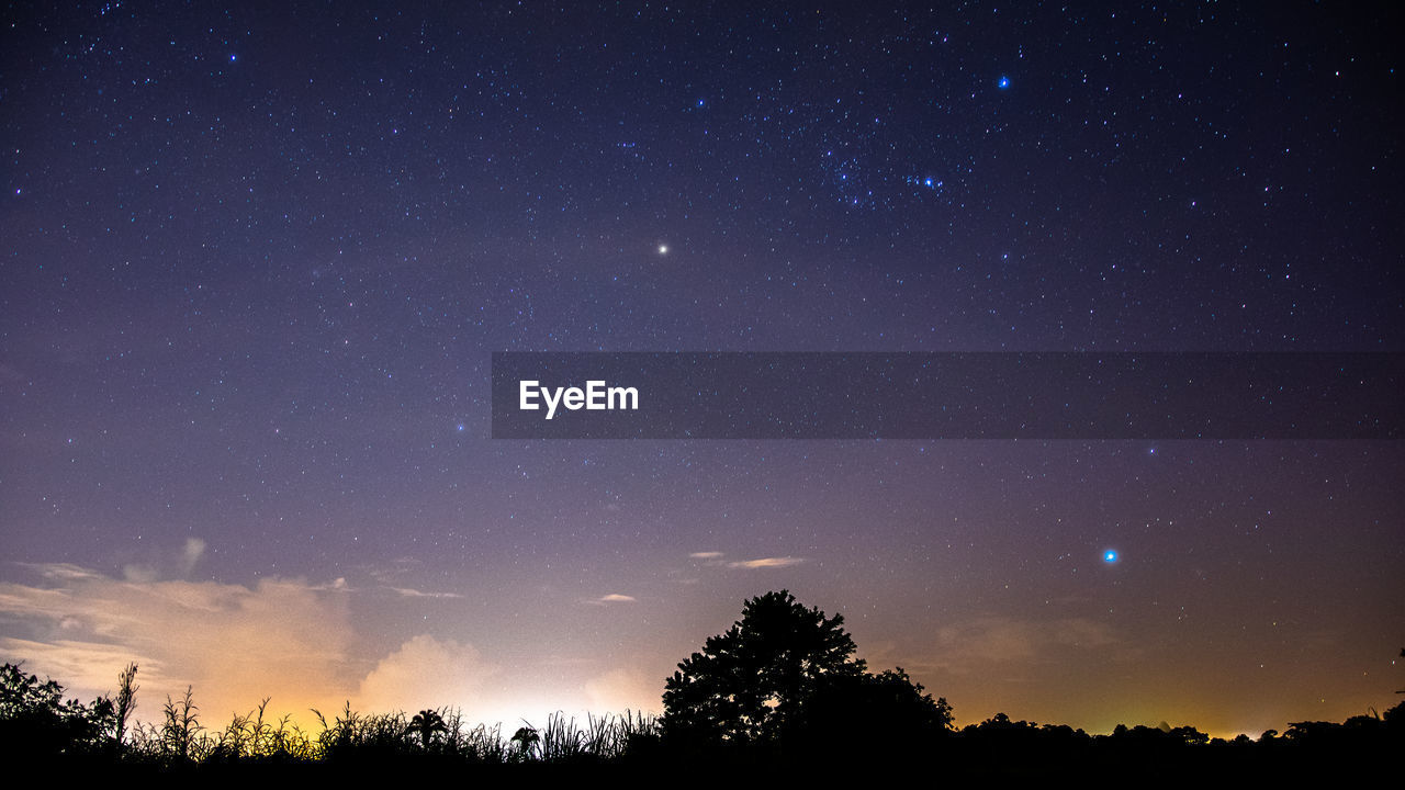 LOW ANGLE VIEW OF SILHOUETTE TREES AGAINST STAR FIELD