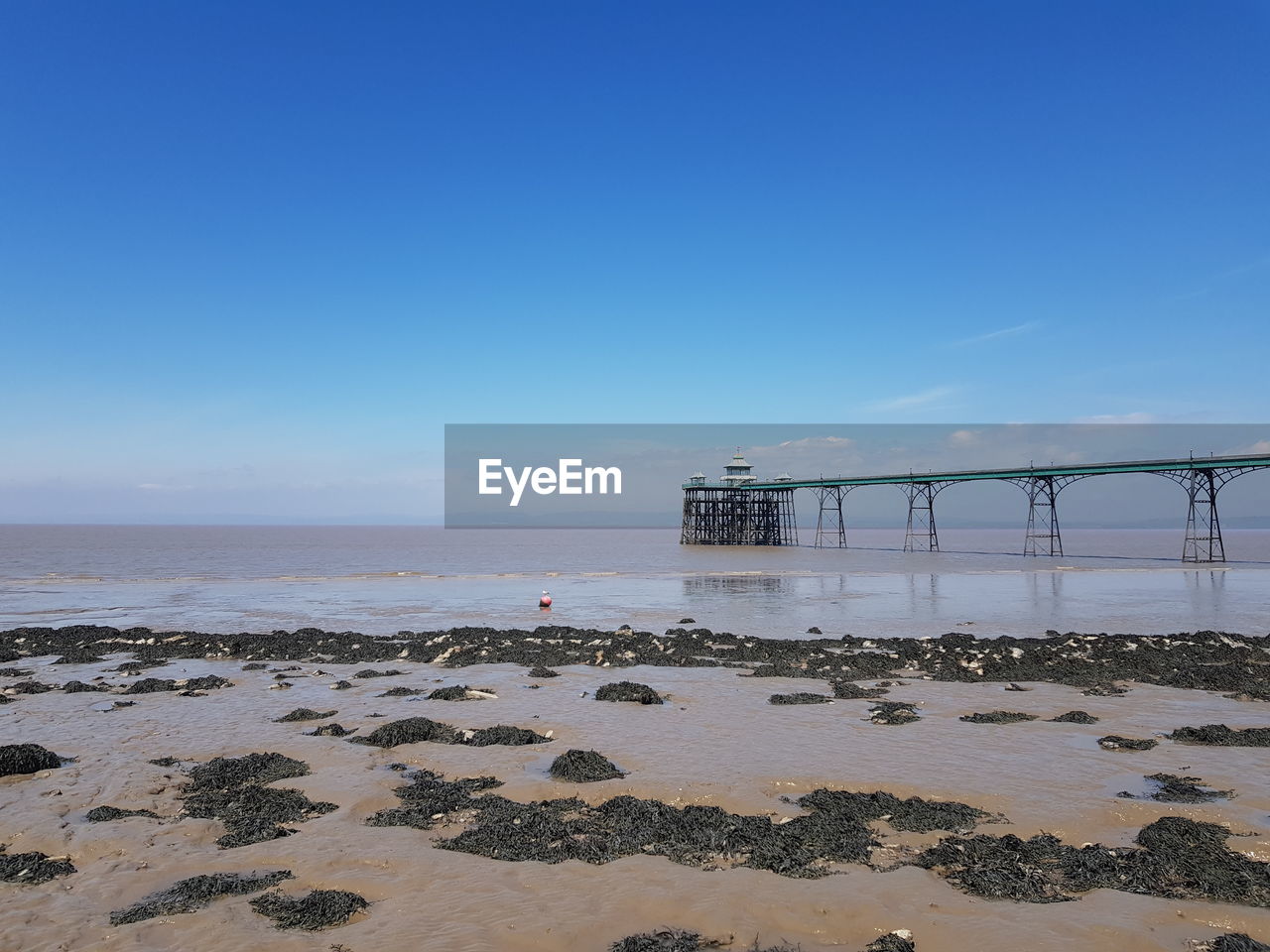 Scenic view of sea against clear blue sky