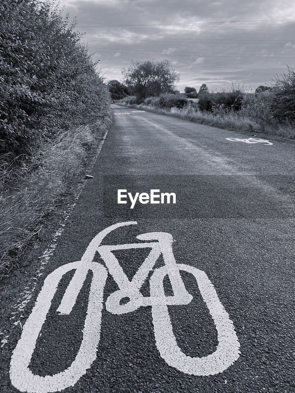 Cycle lane road markings