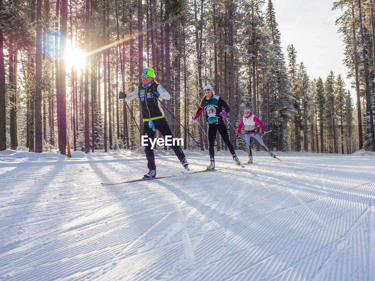 PEOPLE SKIING ON SNOW COVERED TREES