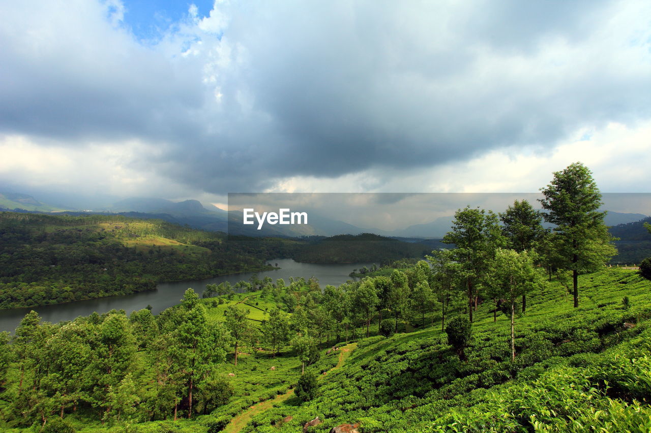 High angle view of stream along green landscape