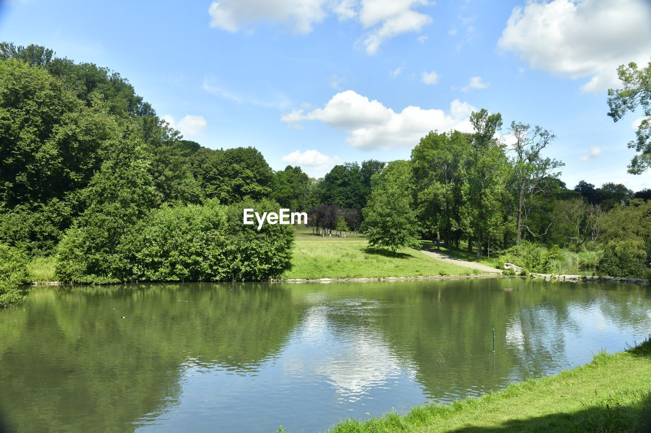 Scenic view of lake by trees against sky