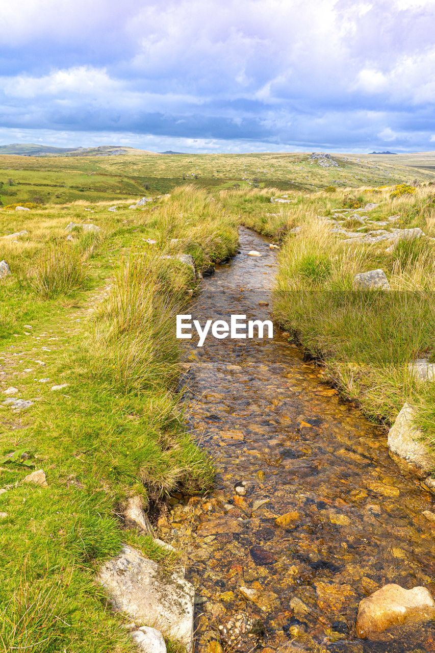 Steam running through dartmoor national park