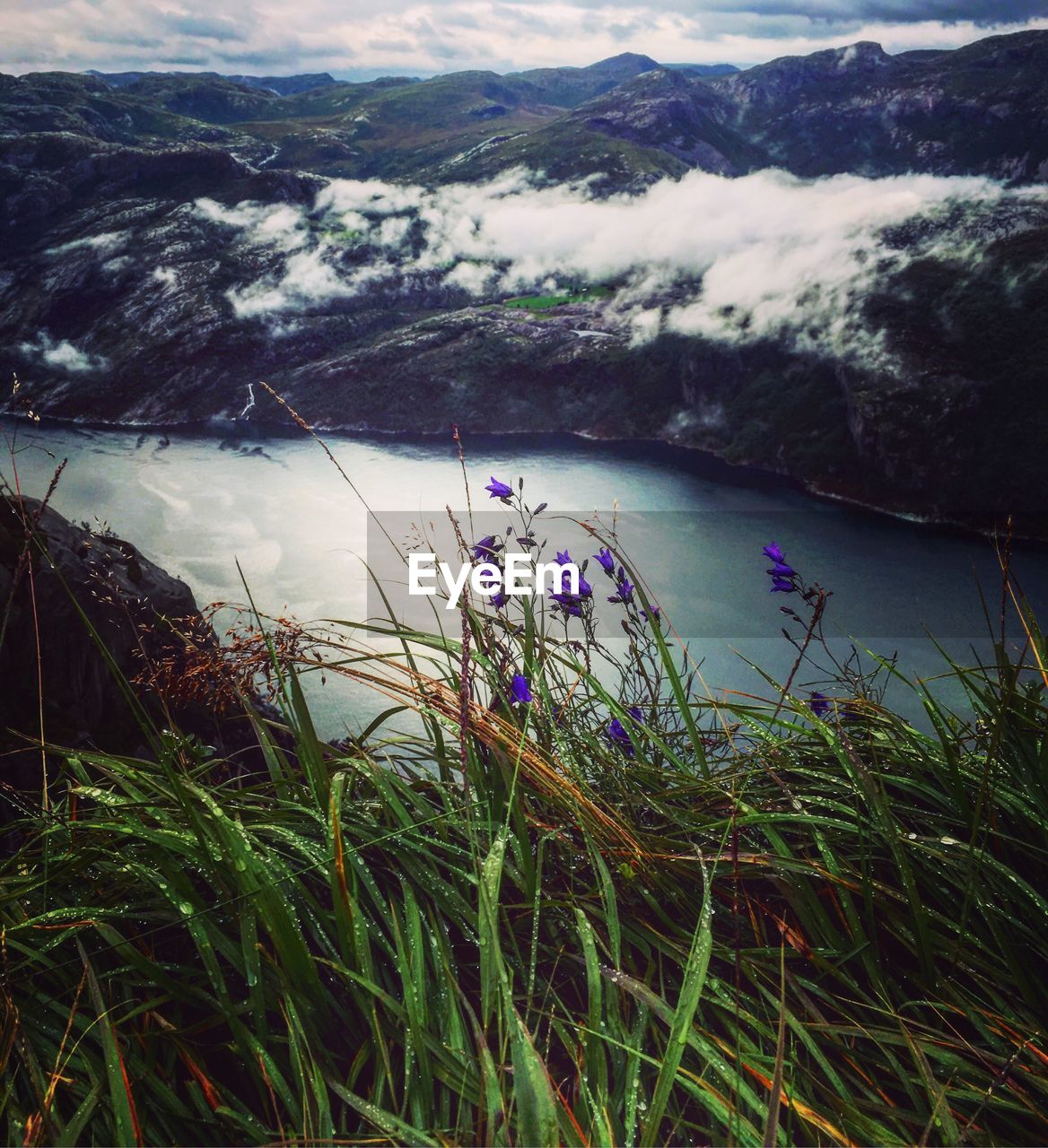 HIGH ANGLE VIEW OF LANDSCAPE WITH LAKE