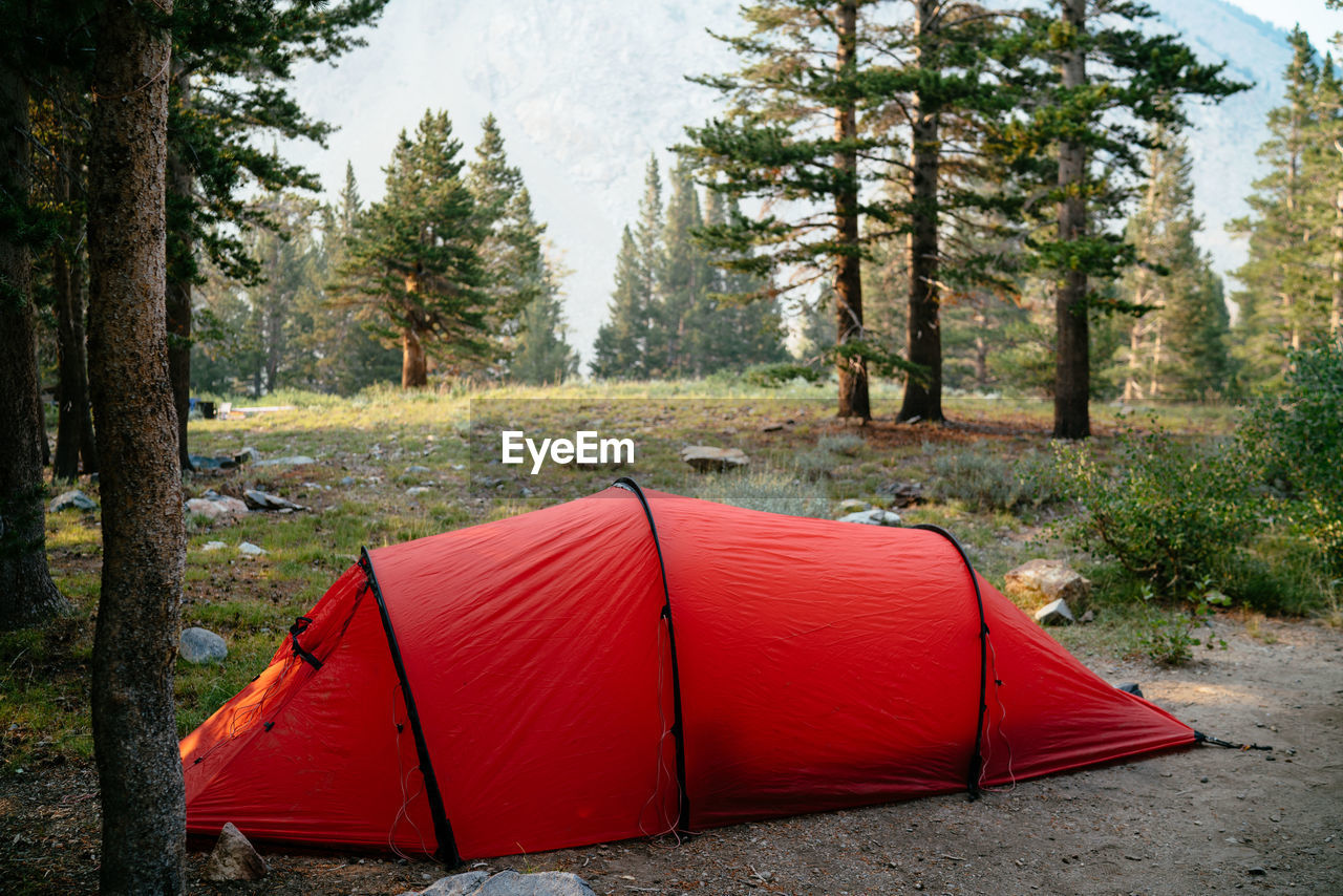 TENT IN FOREST