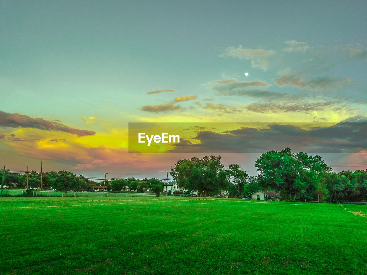 SCENIC VIEW OF GRASSY FIELD AGAINST SKY