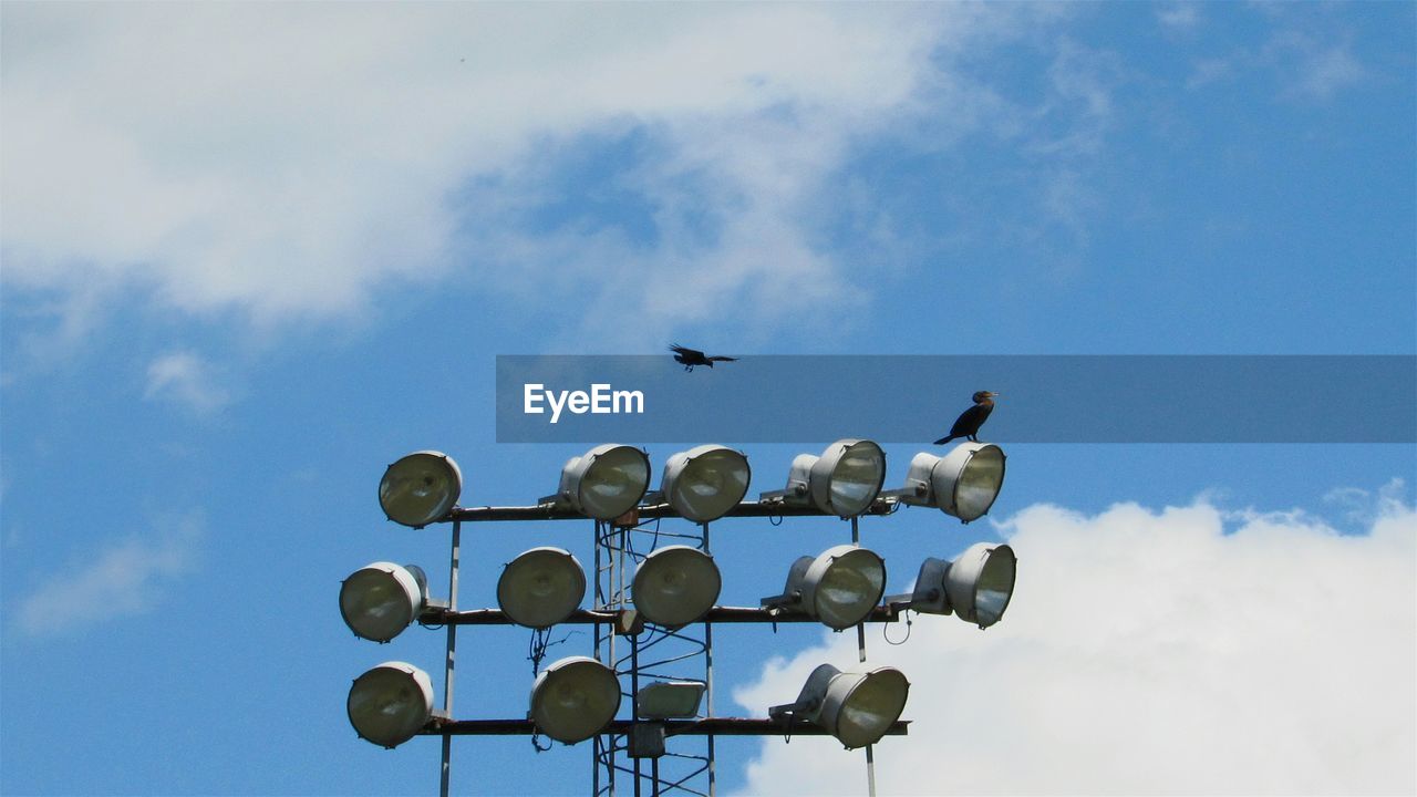 Low angle view of birds flying against sky