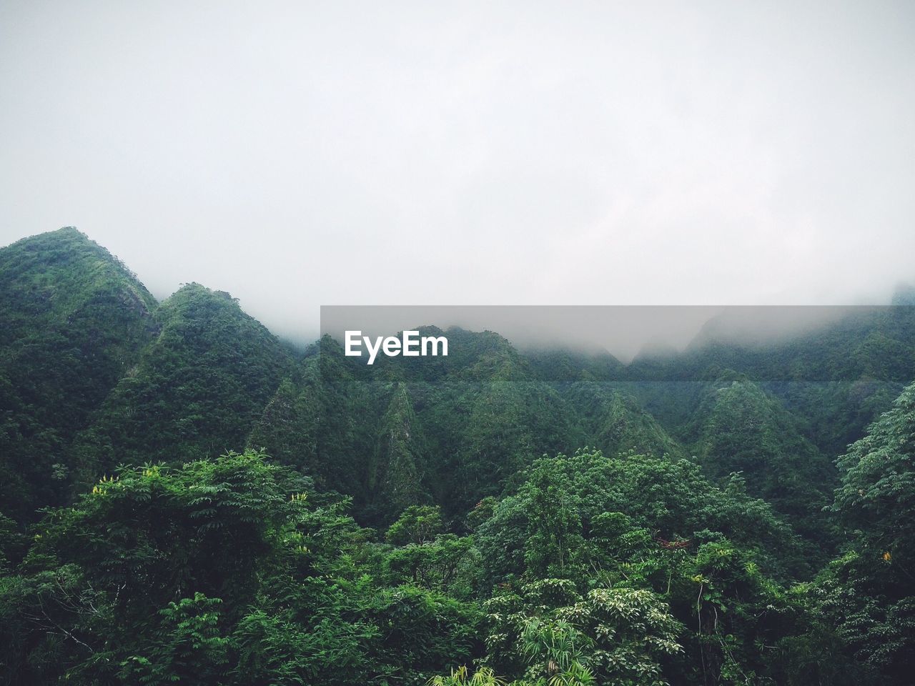 Overgrown mountains against sky during foggy weather