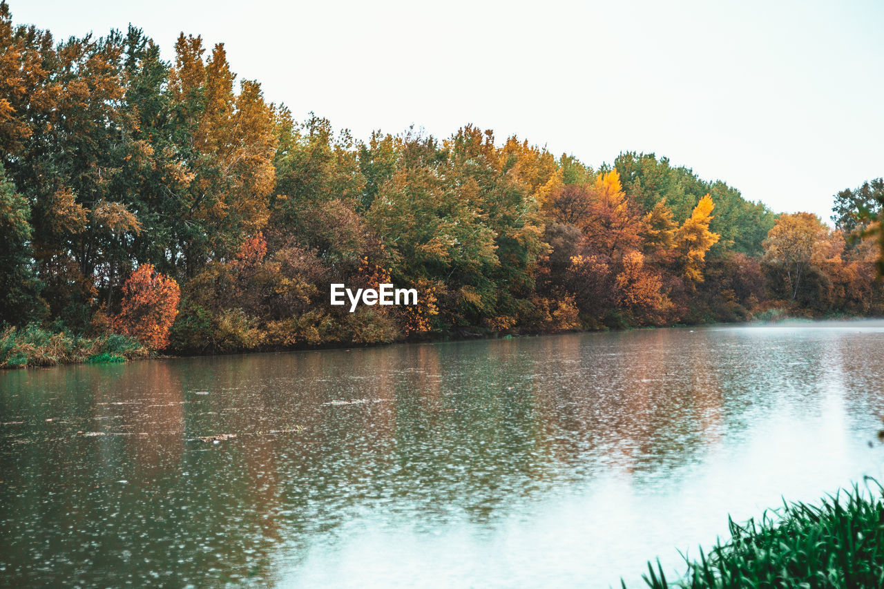 SCENIC VIEW OF LAKE BY TREES AGAINST SKY