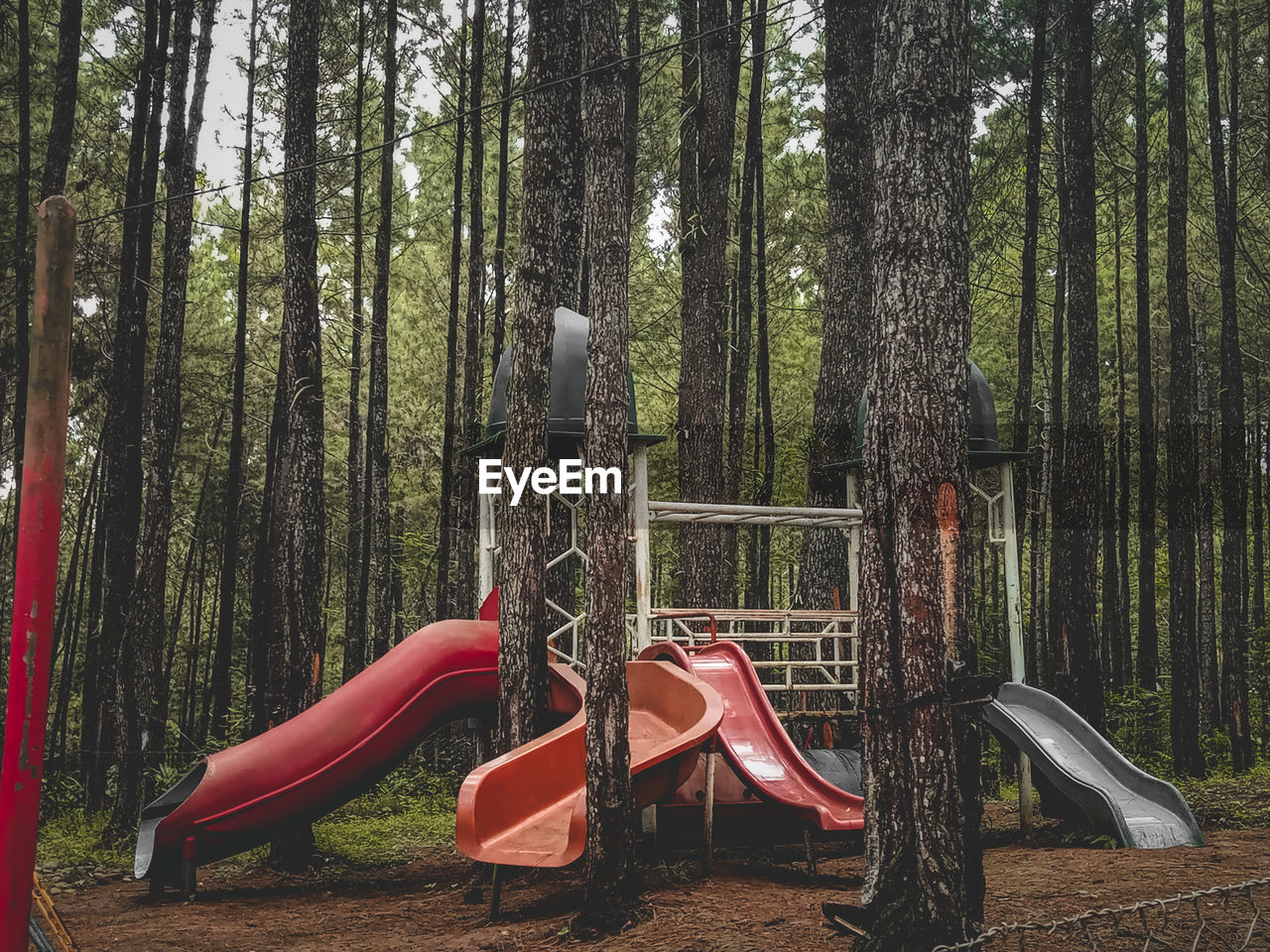 Playground in the middle forest