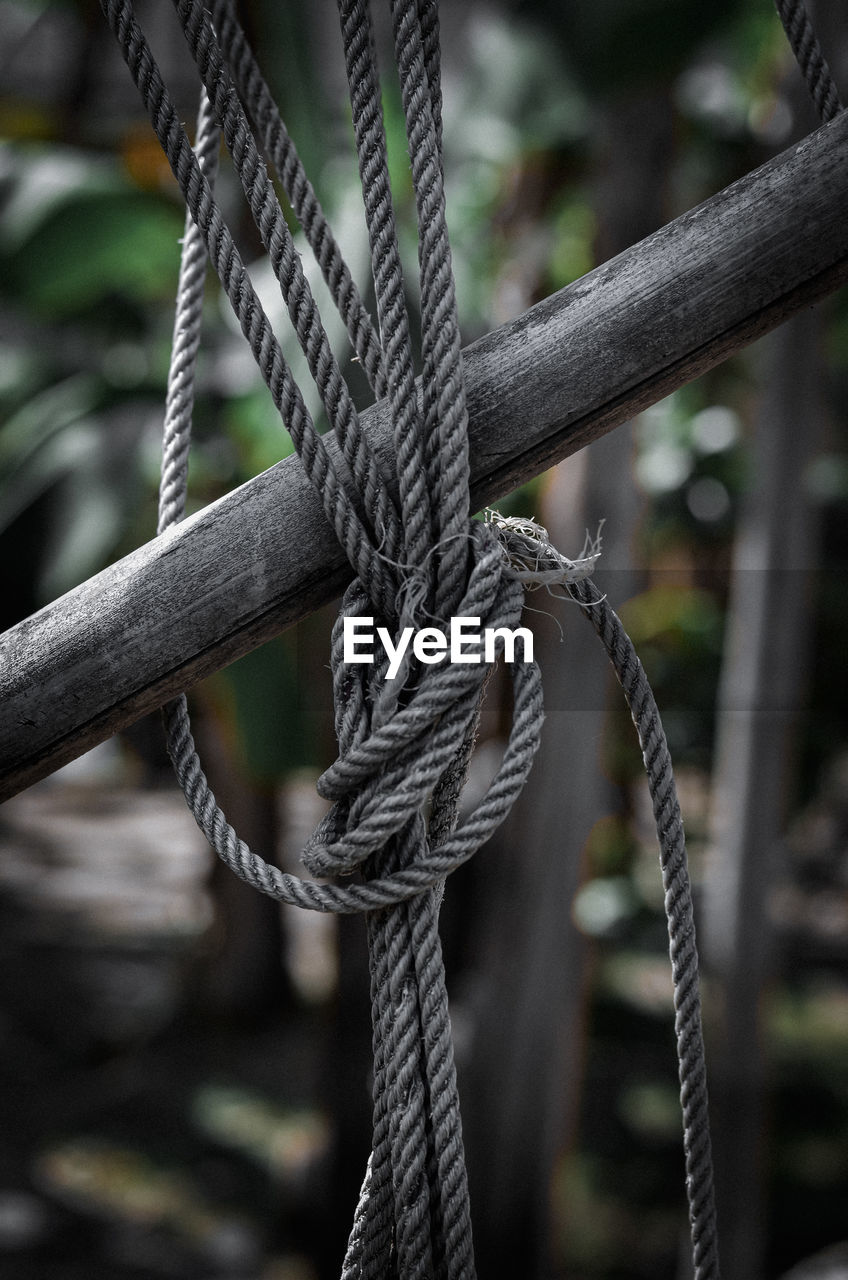 Close-up of rope tied on wooden post