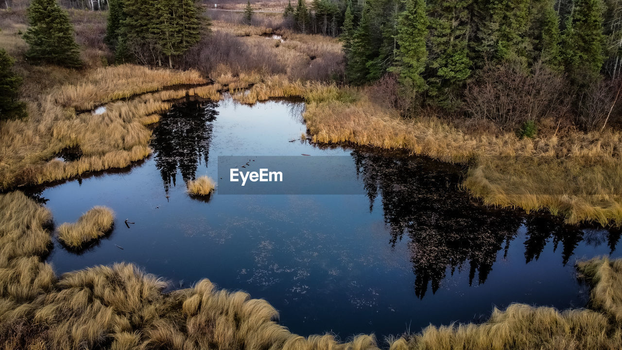 Scenic view of lake