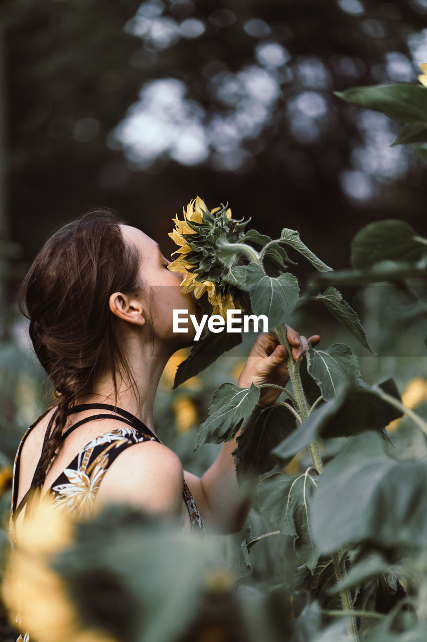 Young european woman with braided hair in a floral dress smelling on a sunflower in a field. 