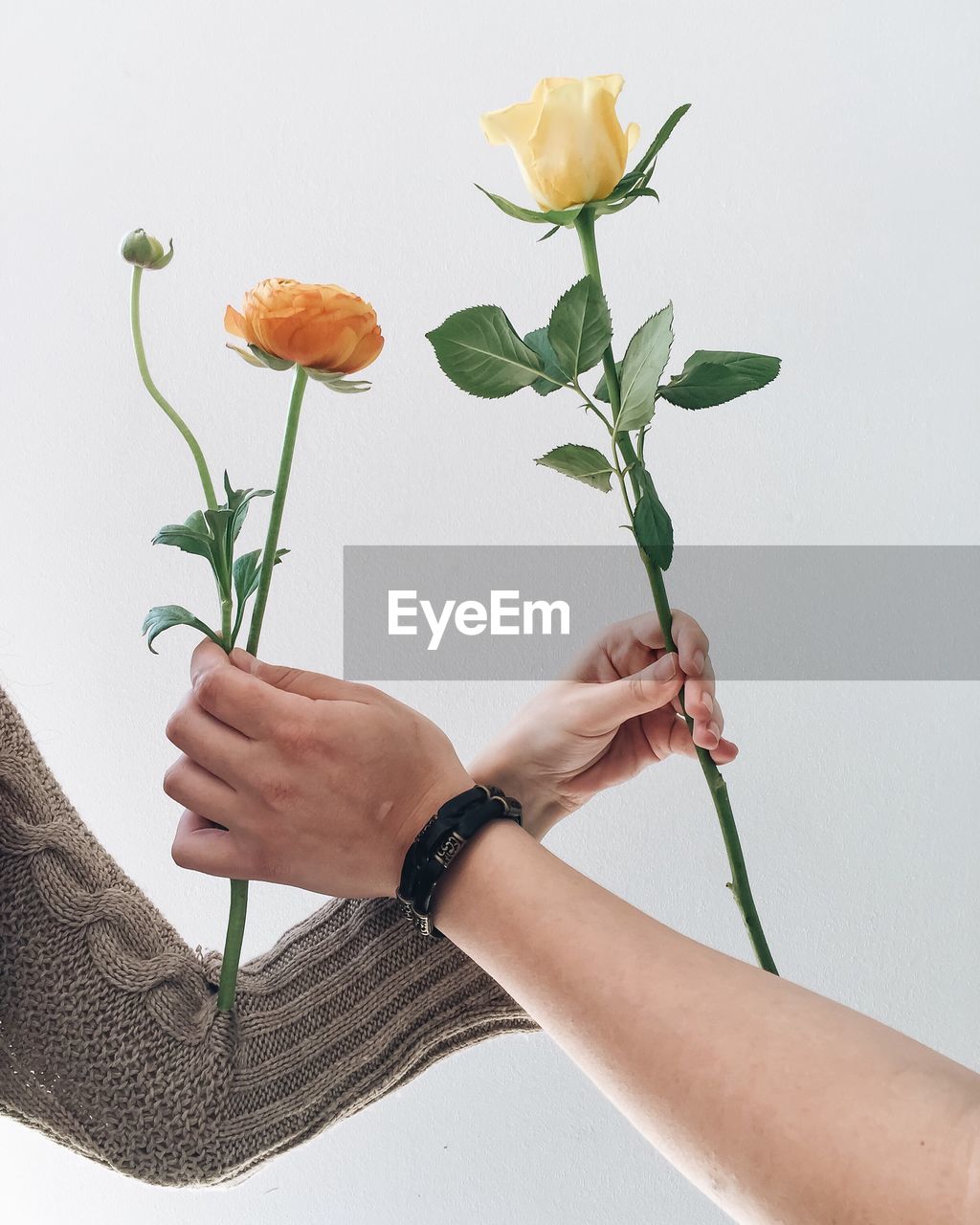Cropped image of man and woman holding flowers